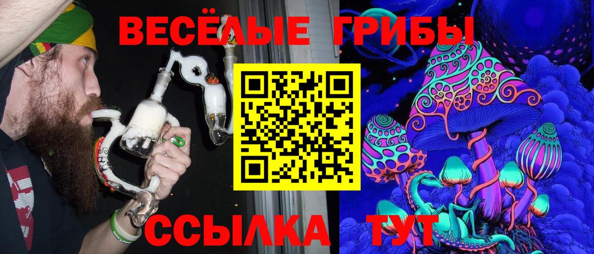 Псилоцибиновые грибы Psilocybine cubensis Сызрань