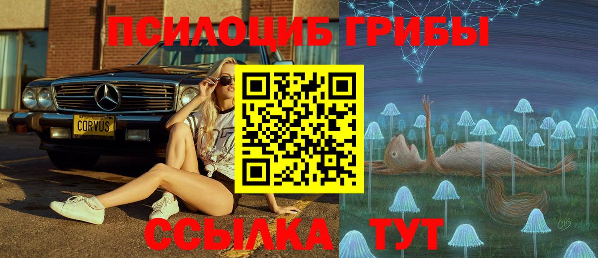 Сызрань  Галлюциногенные грибы Magic Shrooms  как найти закладки  Вход с VPN 